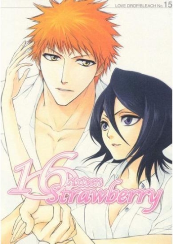 Cover 16 Strawberry