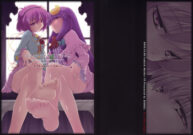 Cover A Book Where Patchouli and Satori Look Down On You With Disgust