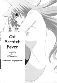 Cover Cat Scratch Fever