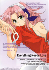 Cover Everything Needs Love