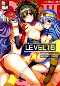 Cover Level 16