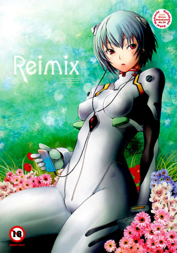Cover Reimix