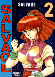 Cover SALVAGE 2