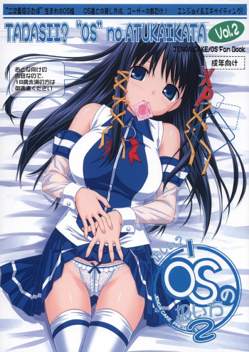 Cover Tadashii? “OS” no Atsukaikata 2