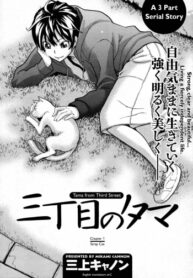 Cover Tama from Third Street Ch.1-3