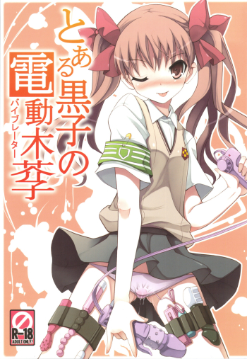 Cover Toaru Koroko no Vibrator