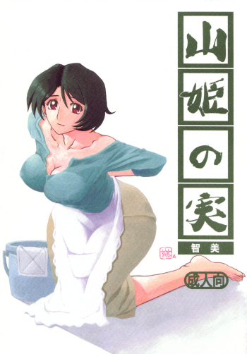 Cover Yamahime No Mi Satomi 1-2