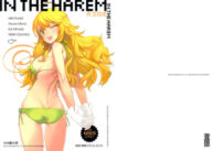 Cover IN THE HAREM A SIDE