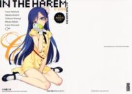 Cover IN THE HAREM C SIDE