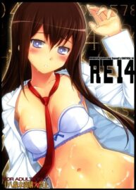 Cover RE14