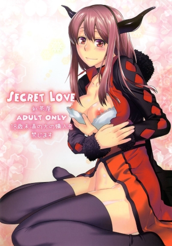 Cover Secret Love