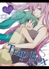 Cover Trap Box