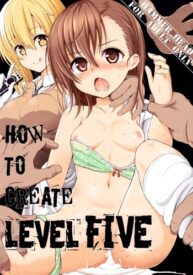 Cover HOW TO CREATE LEVEL FIVE