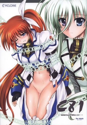 Cover Nanoha-san ga Fukaku wo Totta!