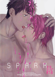 Cover SPARK
