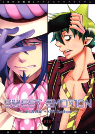 Cover SWEET EMOTION
