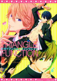 Cover TRIANGLE FUNCTION ver. DT