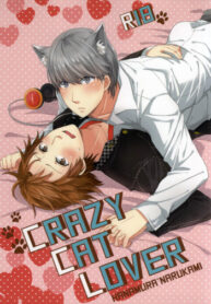 Cover Crazy Cat Lover