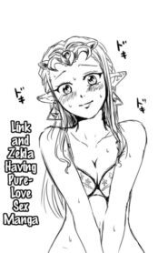 Cover Link to Zelda ga Jun Ai Ecchi suru Manga