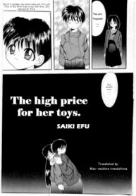Cover The High Price for her toys