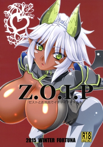 Cover Z.O.I.P