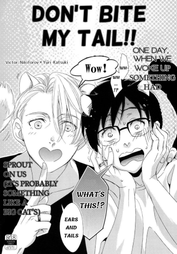 Cover Donâ€™t Bite my Tail!! â€“ Yuri on Ice dj