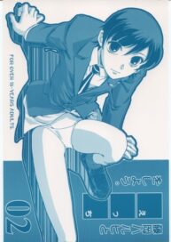 Cover Fujioka Haruhi to Ecchi o Shiyou. 02