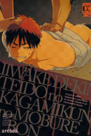 Cover Iiwakedekinai Teido no Kagamikun no Mobure Bon