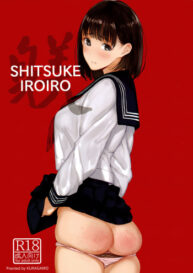 Cover SHITSUKE IROIRO