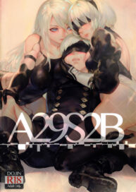 Cover A29S2B