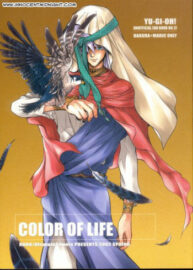 Cover Color of Life – English