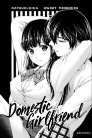 Cover Domestic na Kanojo Chapter 164.7