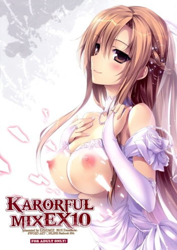 Cover KARORFUL MIX EX10