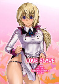 Cover LOVE SLAVE