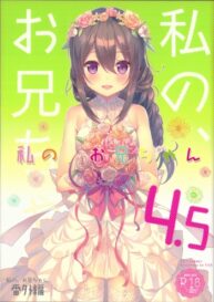 Cover Watashi no, Onii-chan 4.5 Bangaihen