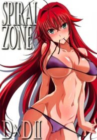 Cover SPIRAL ZONE DxD II
