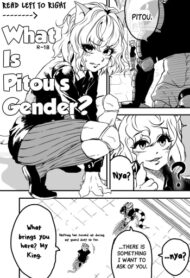 Cover What is Pitou’s Gender?