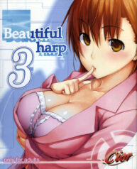Cover Beautiful Harp 3
