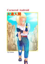 Cover Cornered Android