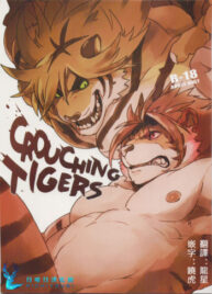Cover CROUCHING TIGERS