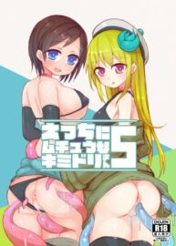 Cover Ecchi ni Muchuu na Kimidori-san 5