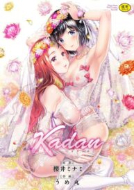Cover Kadan -Helichrysum-