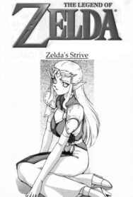 Cover Legend of Zelda; Zelda’s Strive