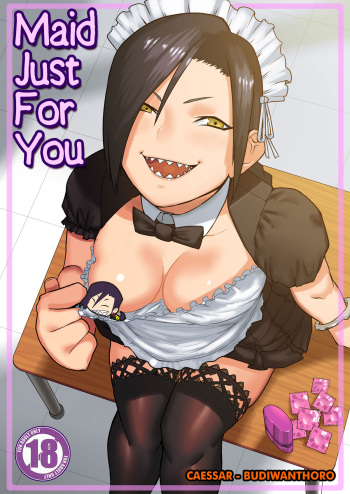 Cover Maid Just For You