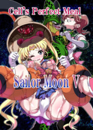 Cover Sailor Moon V