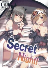 Cover Secret Night!