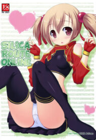 Cover Silica Route Online