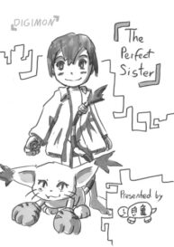 Cover The perfect Sister